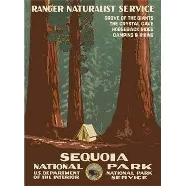 Sequoia National Park Giant Sequoia Poster 1