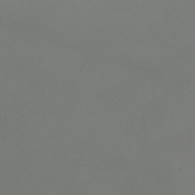 Softsations Collection Ash Aniline Leather Sample 1
