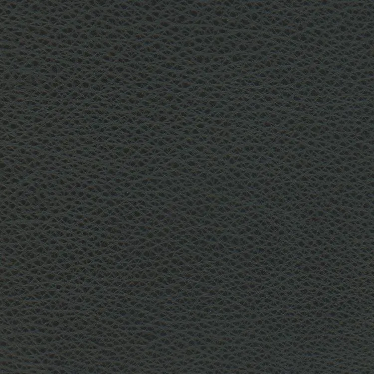 Softsations Collection Black Aniline Leather Sample 1