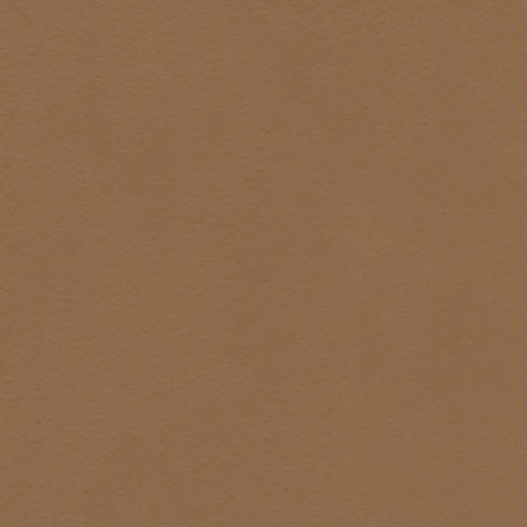 Softsations Collection Buckskin Aniline Leather Sample 1