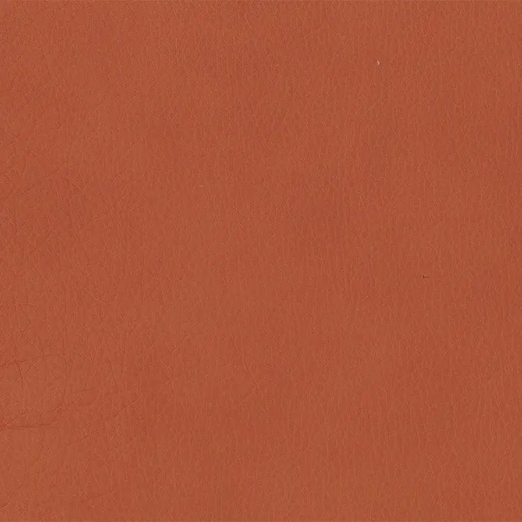 Softsations Saddle Aniline Leather Sample 1