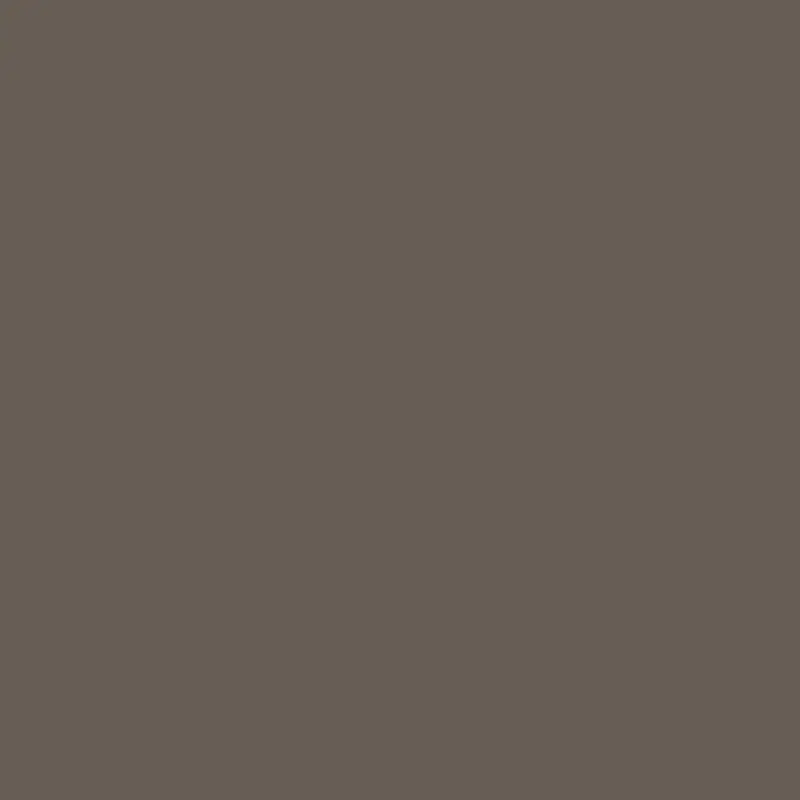 Spanish Moss Es-44 - Muted Green-Gray Nature-Inspired Paint 1