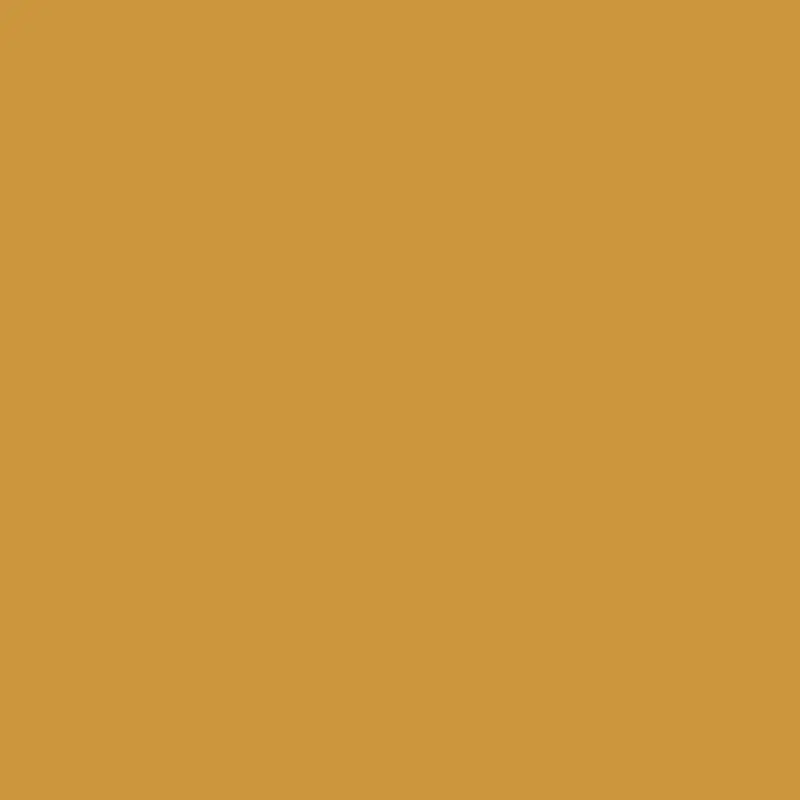 Spicy Mustard Paint Color 2154-20 1