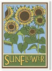 Sunflower Illustration – Stylized Craftsman Botanical Print 1