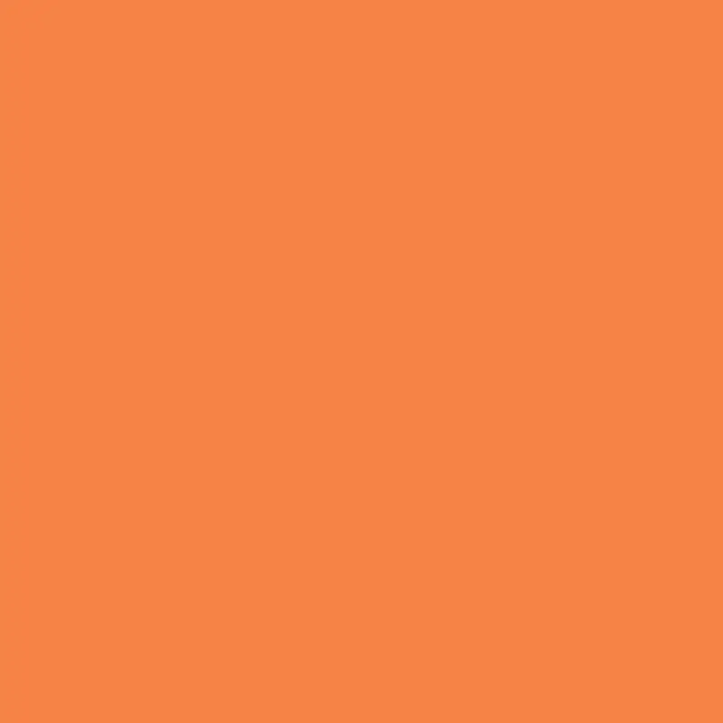 Tangerine Melt Paint Shade - Smooth Citrus-Inspired Color 1