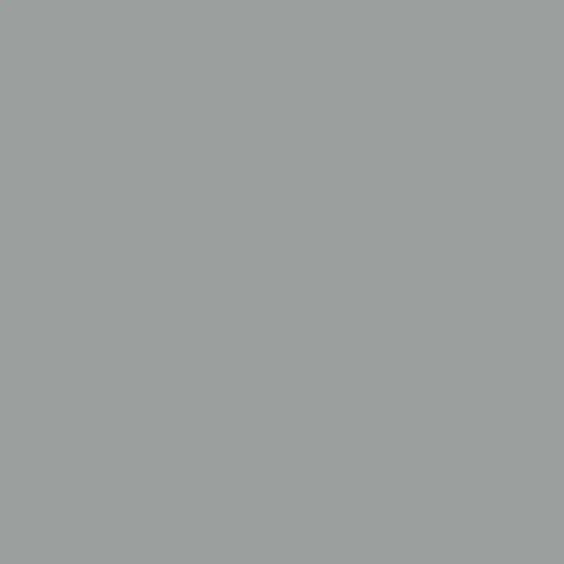 Timber Wolf 1600 Gray Paint Color 1