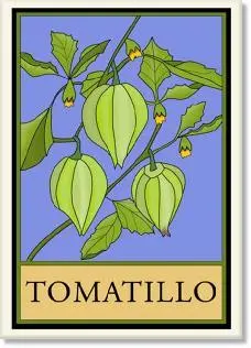 Tomatillo Illustration – Stylized Craftsman Vegetable Print 1