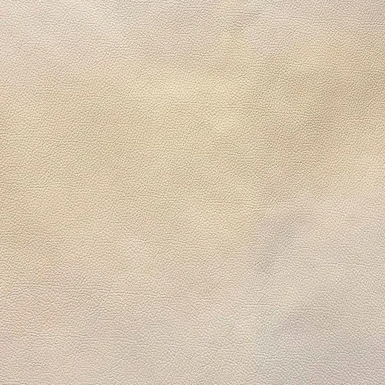 Urban Ivory Protected Leather Sample – Premium Grade 1