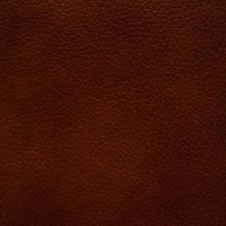 Valentino Leather Sample – Cognac Protected Plus Finish 1