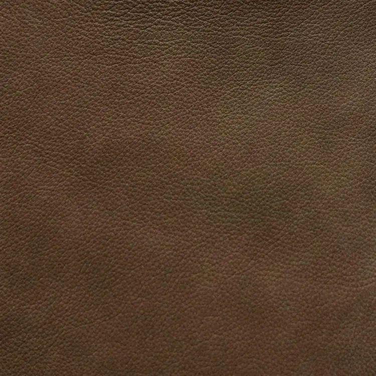 Valentino Leather Swatch – Corda Protected Plus Finish 1