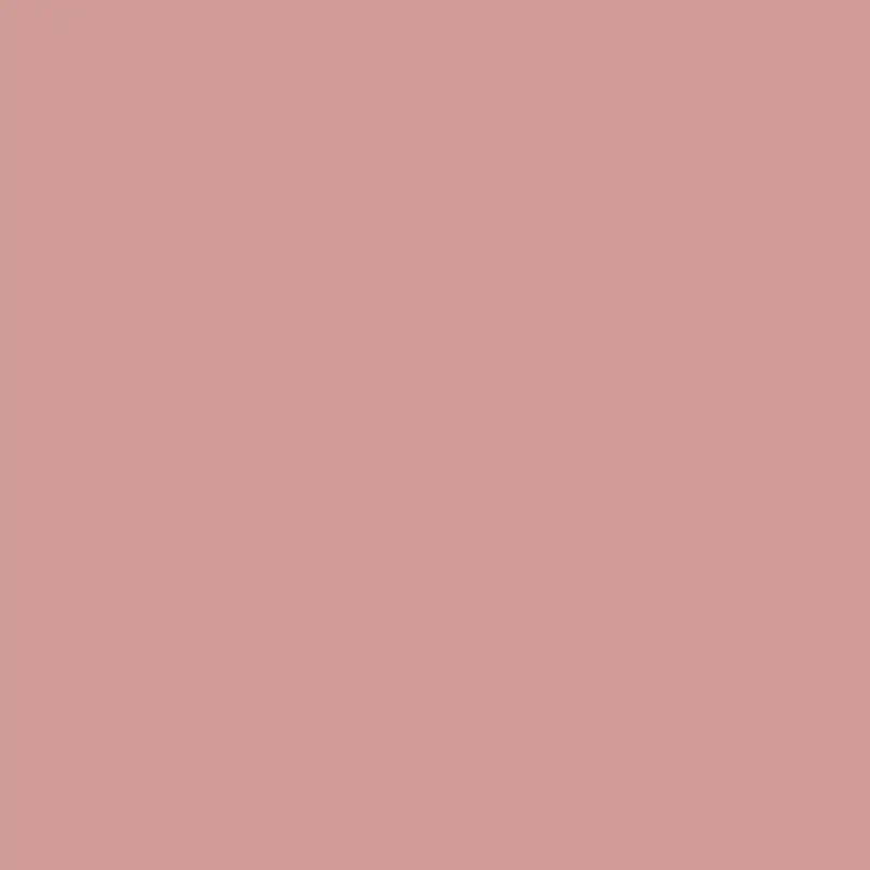Warm Rosy Tan Paint 2091-50 Rosy Tan 1