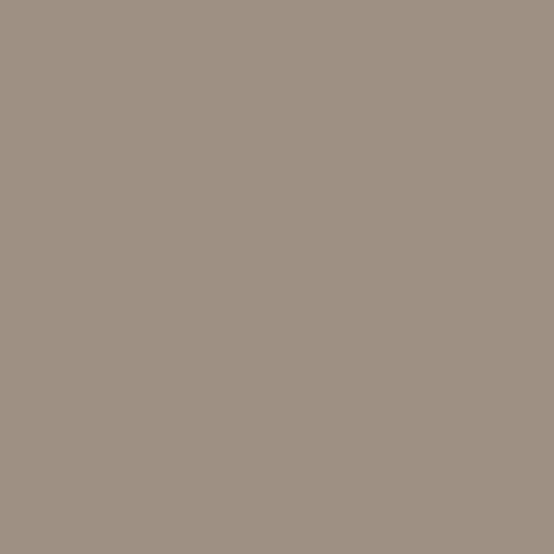 Weimaraner Inspired Paint Shade Af-155 1