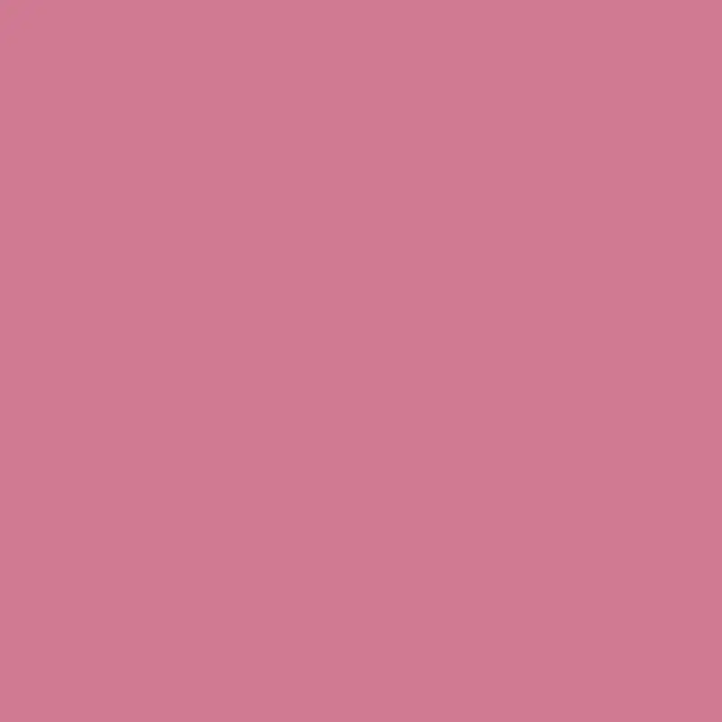 Wild Pink Nature-Inspired Paint 2080-40 1