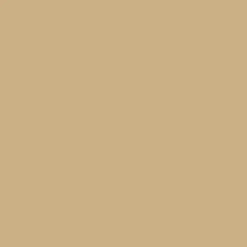 Wilmington Tan Hc-34 Rich Warm Wall Color 1
