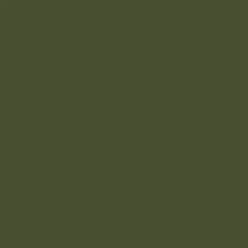 Windsor Green Elegant Forest Green – Cw-505 1