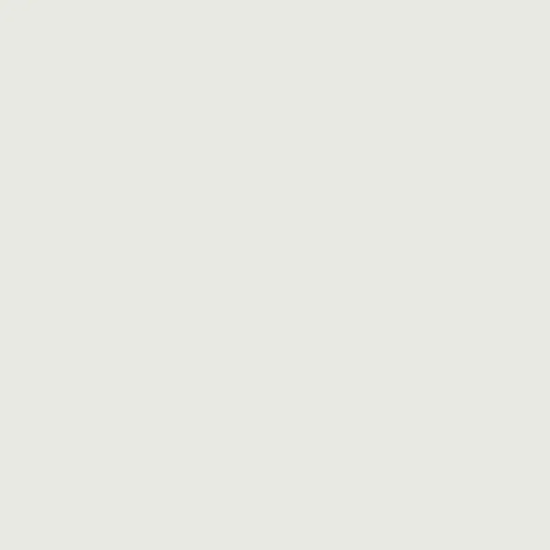 Winter White Premium Paint Color 2140-70 1