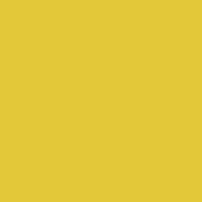 Yellow Hibiscus Tropical Brightness 1