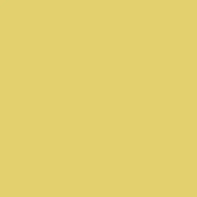 Yellow Tone Versatile Neutral 1